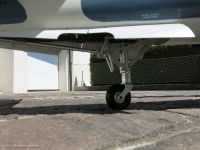 comp_IMG_1455