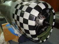 comp_DSC04629